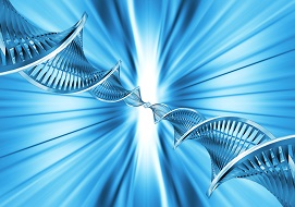 Fotolia3331657SubscriptionL