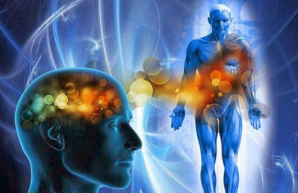 mente corpo biot tecnologie per la vita