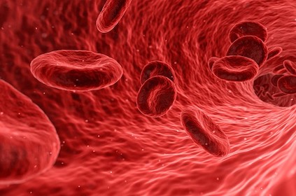 sangue