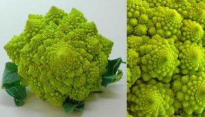 BroccoloRomanesco